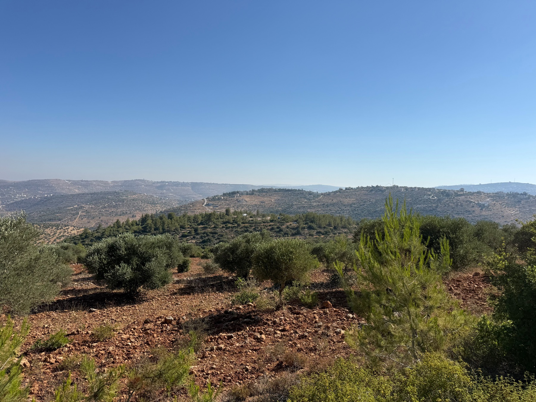 נוף ההרים והעצים הנשקף מחוות בנבה